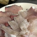 구영리 회 맛집 삼이네 회포차