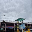 조선충무김밥 | 통영 충무김밥 전현무 다녀간 뚱보할매김밥집 내돈내산 점심 후기