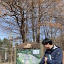 우포 따오기 구조 치료센터 | [종보전센터] 동물과 자연을 위한 따뜻한 보금자리🏡💝🌲 (Feat. 종보전센터 김민수 팀장)