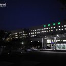 현대의수족 이미지