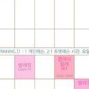 보드레핏 이미지