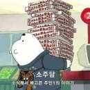 새끼 바다 표범이 어미를 잃었을때 생기는일.gif(약스압/약협) 이미지