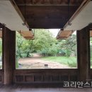 세파에 따르지 네이버블로그