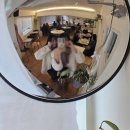 프로젝터인사이드주 | [합정 데이트 코스(맛집, 술집, 카페) 추천] 트롤로지, 콘드, 호맥