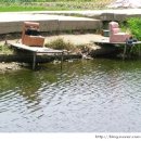 새물낚시터 이미지