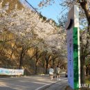 북산면 행정복지센터 이미지