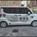 멍품유치원 | ✨ 낯가리는 강아지도 만족! 부산 애견호텔 멍데뷰 강아지유치원 &amp; 애견호텔 찐 돌봄 후기 🐶🏡