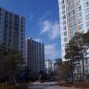 탑마트 앞 횡단보도 이미지