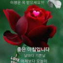 꿈과사랑 이미지