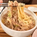 대전신세계 맛집 메시호산(Meshihosan) 내돈내산 후기 | 니꾸우동, 메지 마구로동, 돈카츠