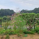 대정호수 이미지