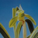 자산동011 이미지