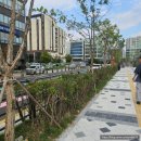 스피드메이트영광점 | 구월점 오픈 기념 할인 쿠폰 및 사은품, 입점 매장, 주차, 오픈 축하 상품, 할인 제품 상세정보 방문 후기