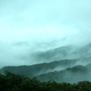 승주목장 Daum카페