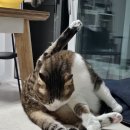 여울그루밍 이미지