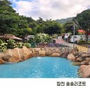 솔솔리조트 | 경남 합천 솔솔리조트 수영장 계곡펜션 내돈내산 솔직후기