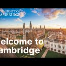 켐브릿지 이미지