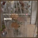 맨 | 어버이날 꽃선물 추천🌼 | 소새울역 꽃집 플라워맨 방문후기