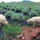 봄·여름·가을 코스 이미지