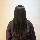 춘천 미용실 자연스러운 밀크브라운 아베다 염색 솔직후기｜춘천 샵이엘
