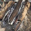 정자나무 펜션 이미지