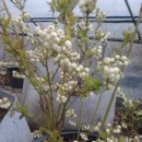 기흥2농장 이미지