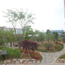 도산초교 이미지