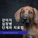 고려종합동물병원 이미지