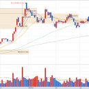 이원호 태양광발전소 이미지