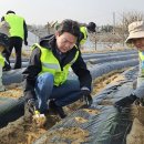 김기훈농장 이미지