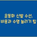 수선 티스토리