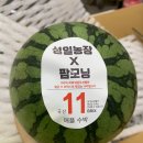 성일농장2 이미지