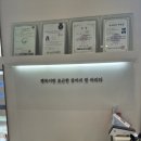 바로펫살롱 이미지