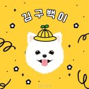 김구백이 | 김구백이 강원특별자치도 반려견놀이터 가봤는데 와.. 정말 좋아요