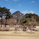 명동카서비스 이미지
