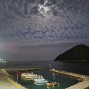 보목동포구카페