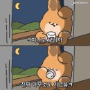 (주)넥스인테크놀로지 | 어글리 소미 (7~8월)