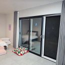 스테이 댕댕 이미지