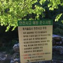 금대에코힐링캠핑장_2 이미지