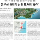 동부산유통 이미지