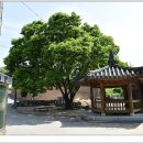 본성1리 이미지