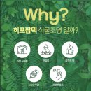 낙동환경개발 | 상주에서 만난 '아쿠아 스케이프', 내수면 관상어비즈니스센터 관람 후기