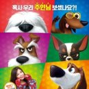 마이펫하우스 이미지