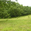 자라목장 이미지