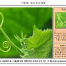 김광용농장 Daum카페