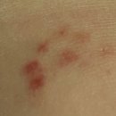 성경제피부과의원 이미지