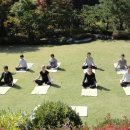 요가(심화) 이미지