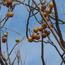 근형농장 이미지