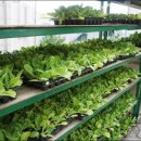 김포농협영농자재 이미지