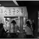 퓨전 차이나 이미지